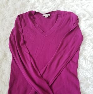 LOFT V-neck sweater